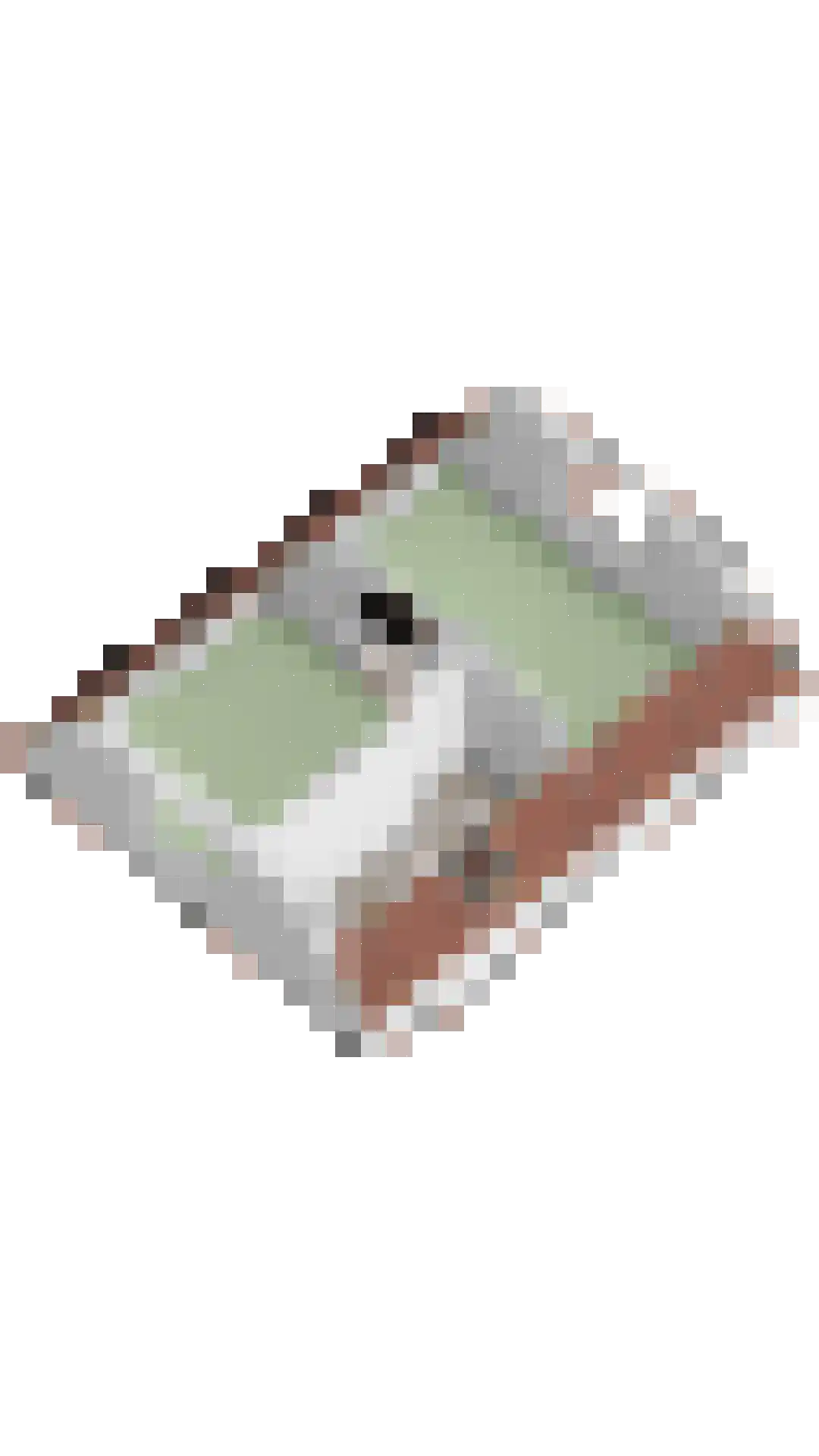 Duivelandstraat 10 Rhoon thumbnail 50
