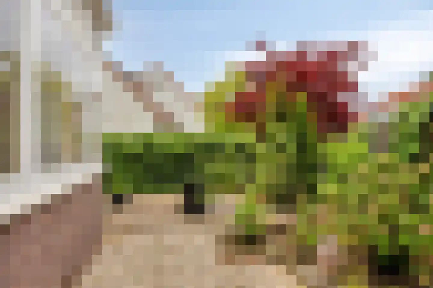 Duivelandstraat 10 Rhoon thumbnail 8