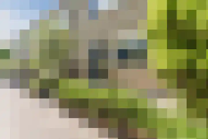 Duivelandstraat 3 Alkmaar thumbnail 35