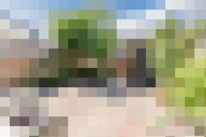 Duivelandstraat 3 Alkmaar thumbnail 4