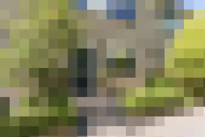 Duivelandstraat 3 Alkmaar thumbnail 5