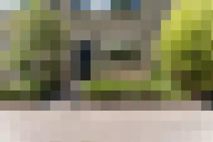 Duivelandstraat 3 Alkmaar thumbnail 6