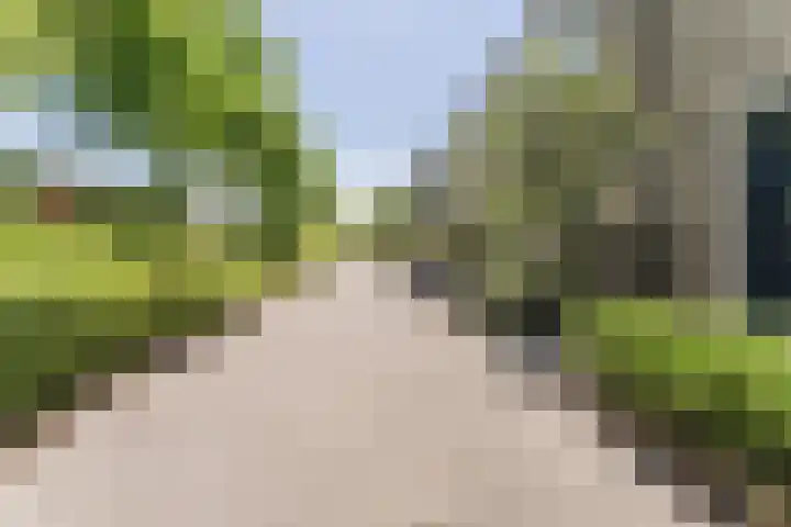 Duivelandstraat 3 Alkmaar thumbnail 7