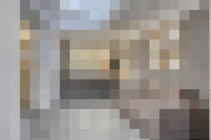 Duivelmolen 23 Oss thumbnail 13