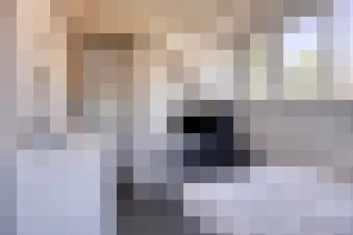 Duivelmolen 23 Oss thumbnail 26