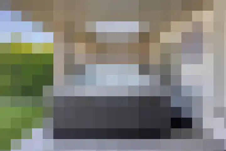 Duivelmolen 23 Oss thumbnail 31