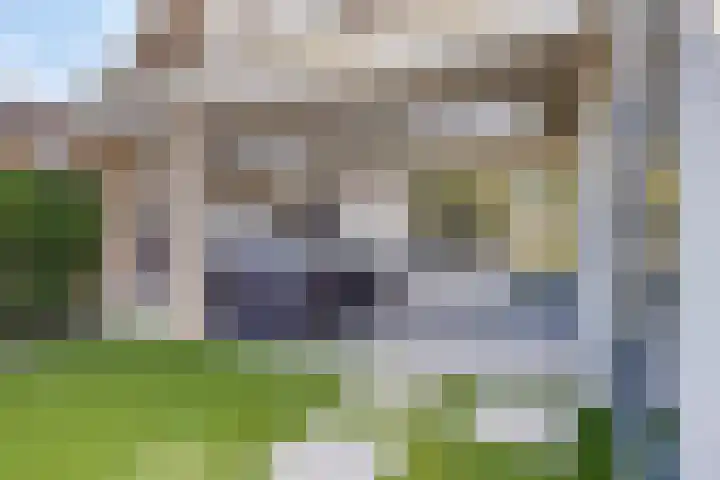Duivelmolen 23 Oss thumbnail 32