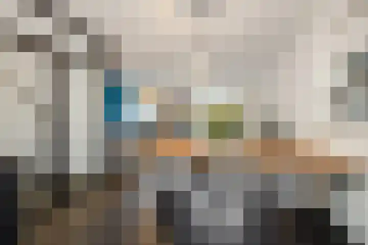 Duivelmolen 3 Oss thumbnail 10