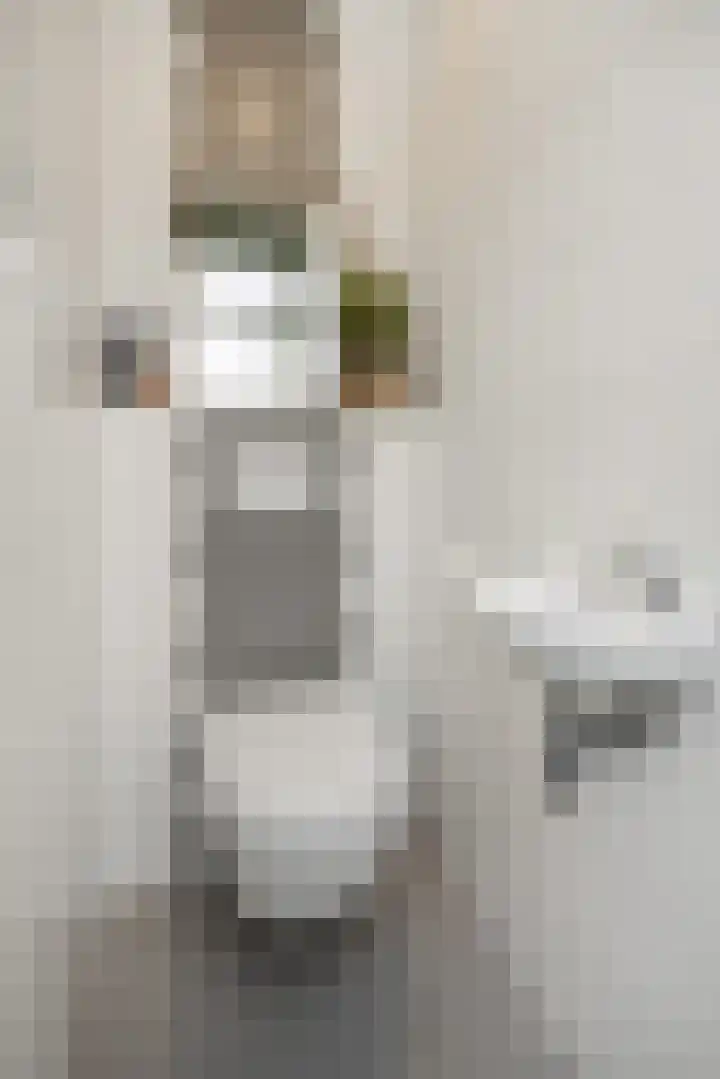Duivelmolen 3 Oss thumbnail 20