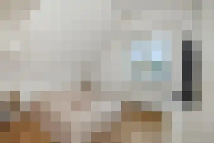 Duivelmolen 3 Oss thumbnail 22