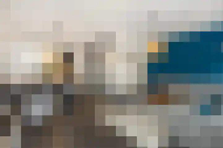 Duivelmolen 3 Oss foto 3