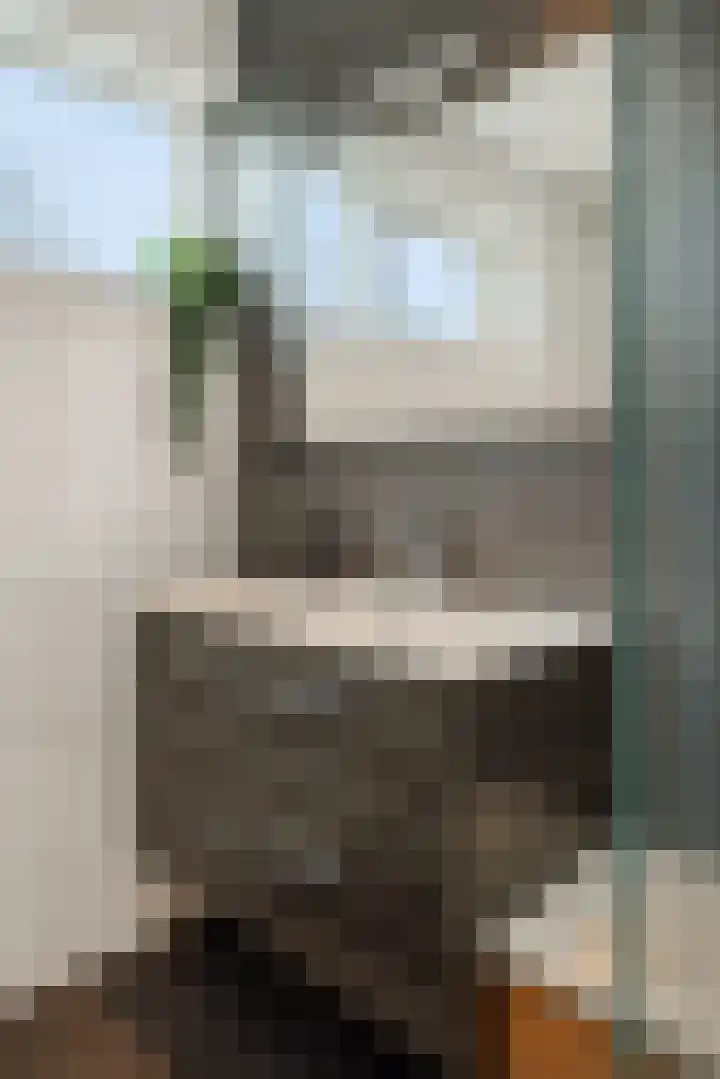 Duivelmolen 3 Oss thumbnail 30