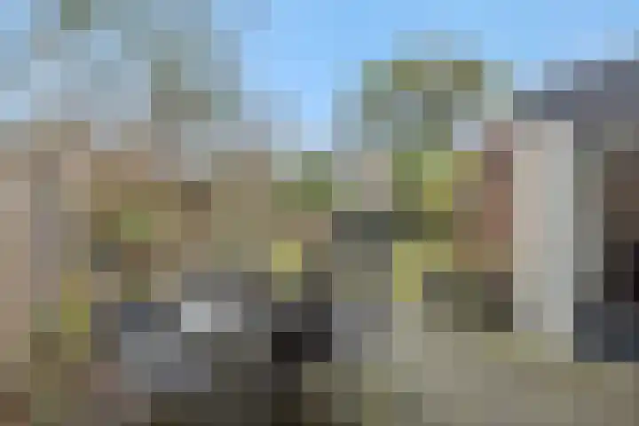 Duivelmolen 3 Oss thumbnail 33