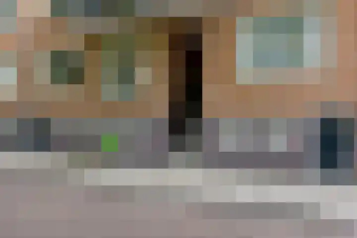 Duivelmolen 3 Oss thumbnail 36