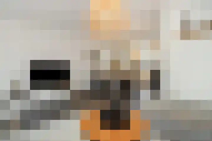 Duivelmolen 3 Oss thumbnail 4