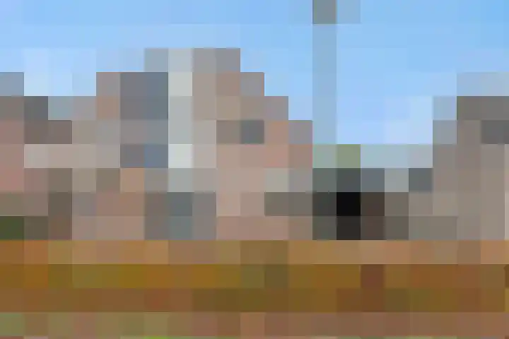 Duivelmolen 3 Oss thumbnail 40