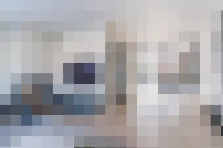 Duivelmolen 3 Oss thumbnail 41