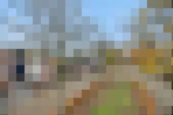 Duivelmolen 3 Oss thumbnail 42