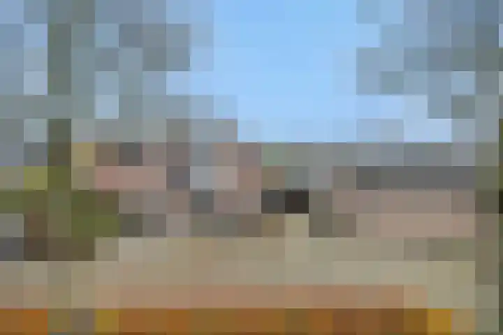Duivelmolen 3 Oss thumbnail 43