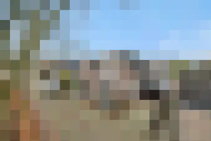 Duivelmolen 3 Oss thumbnail 45