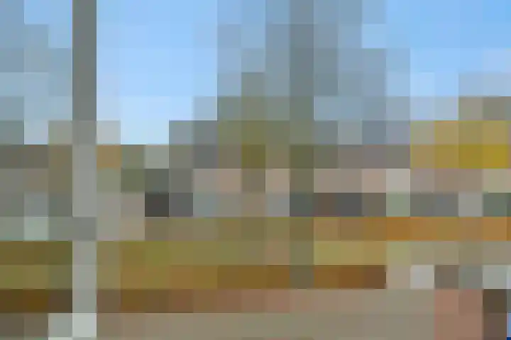 Duivelmolen 3 Oss thumbnail 46