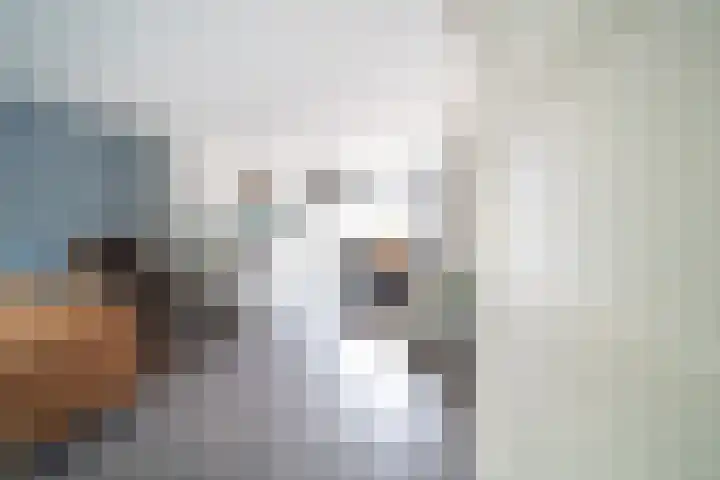 Duivelmolen 3 Oss thumbnail 7