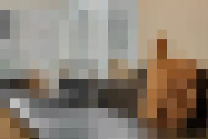 Duivelmolen 3 Oss thumbnail 9