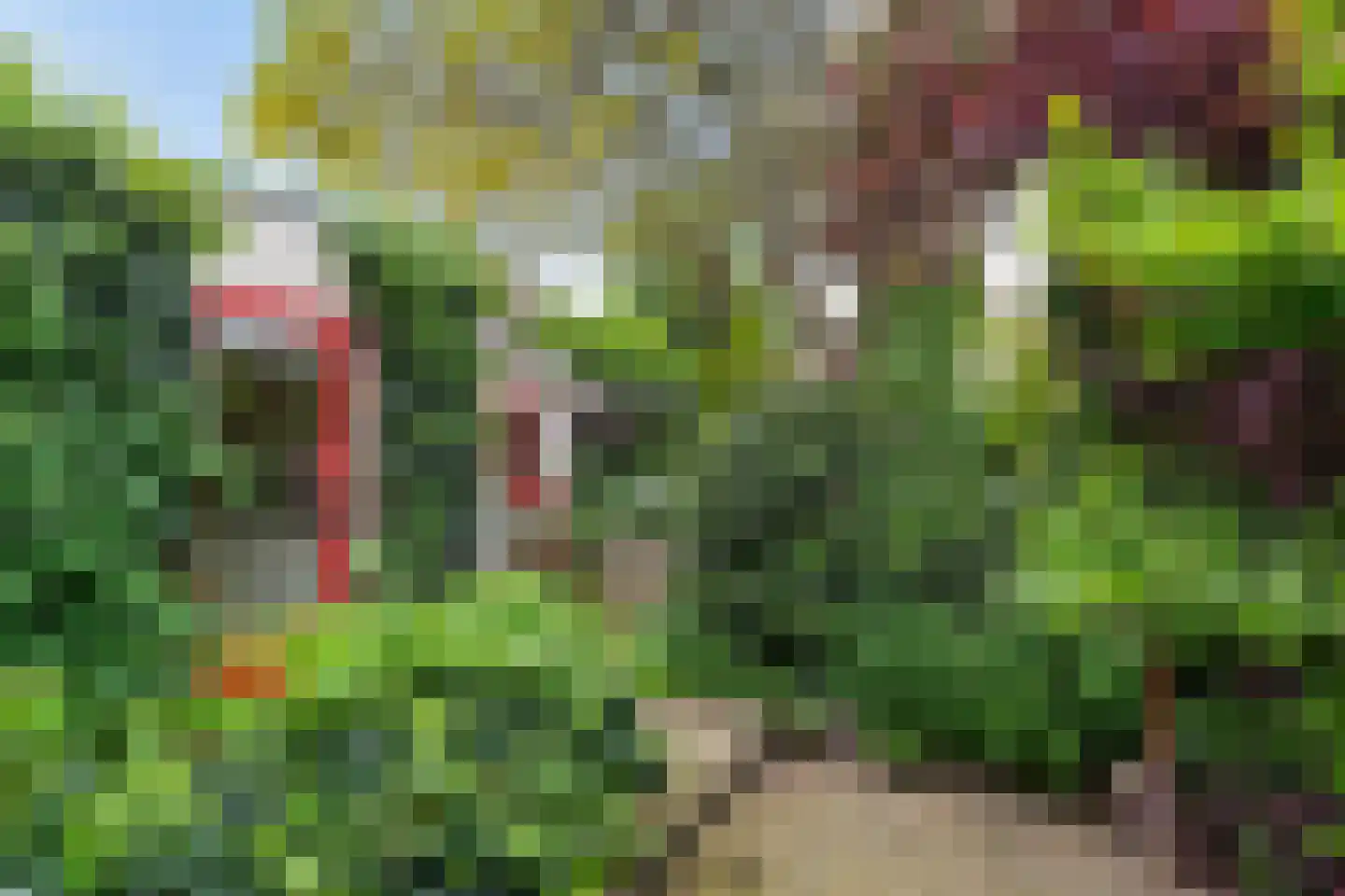 Duivelmolen 7 Oss thumbnail 45
