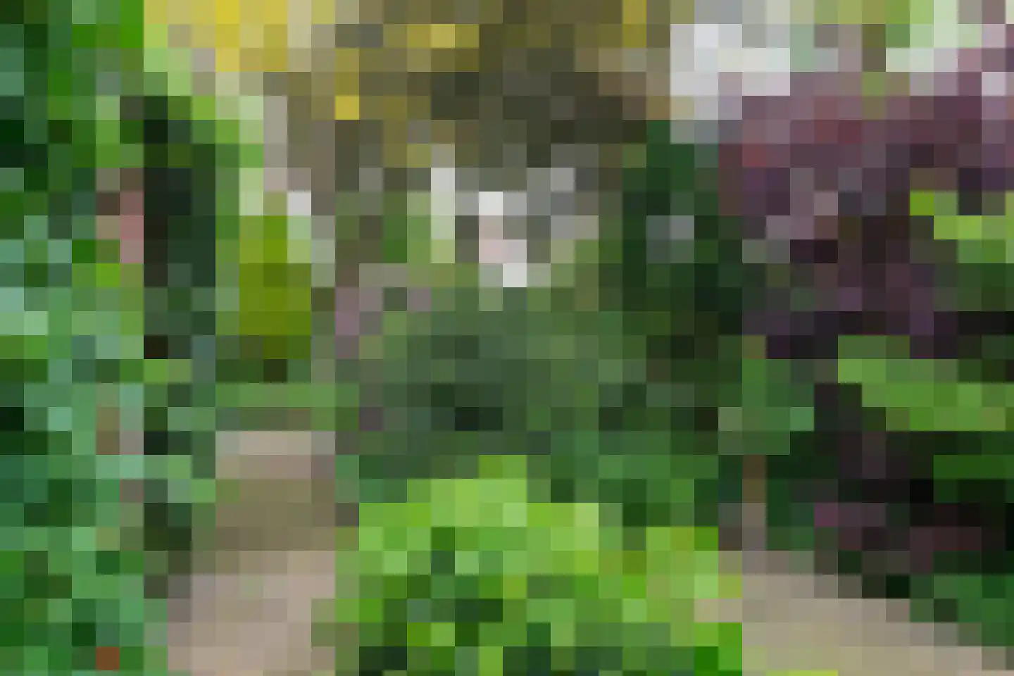 Duivelmolen 7 Oss thumbnail 46