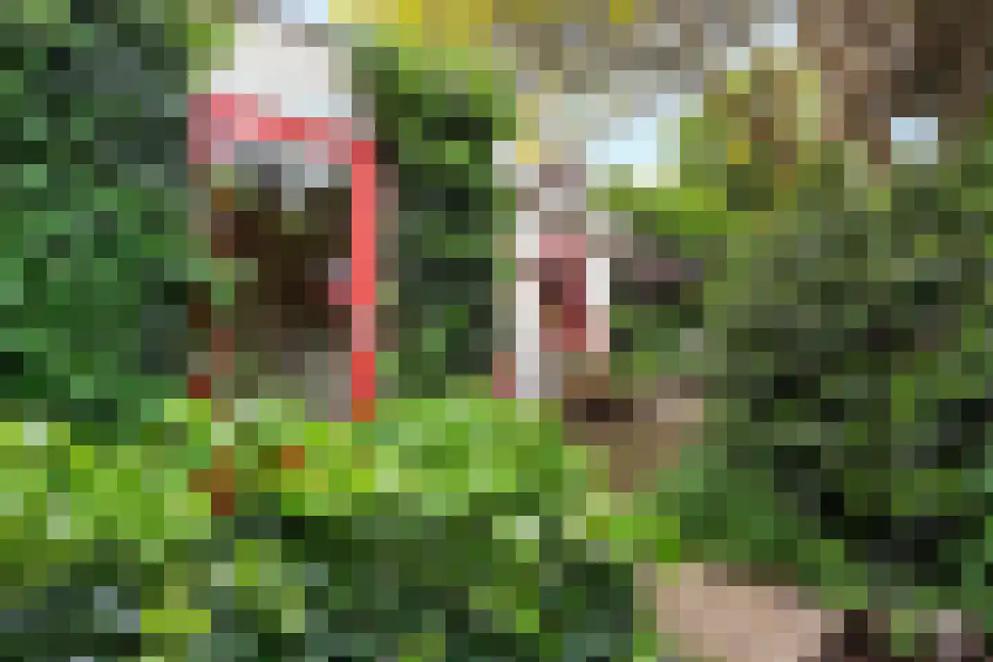 Duivelmolen 7 Oss thumbnail 47
