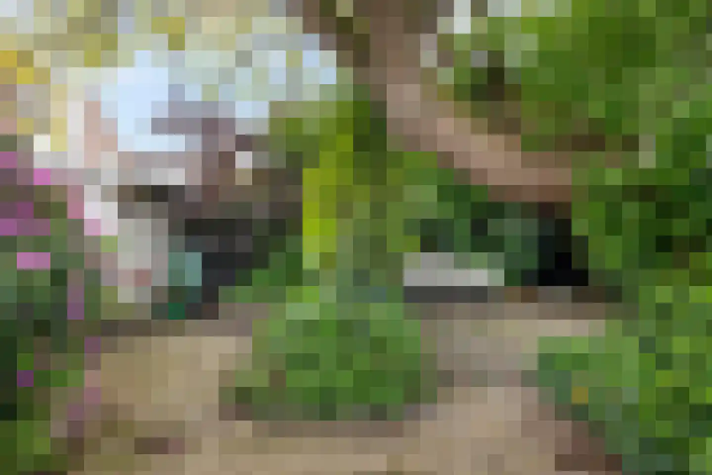 Duivelmolen 7 Oss thumbnail 50