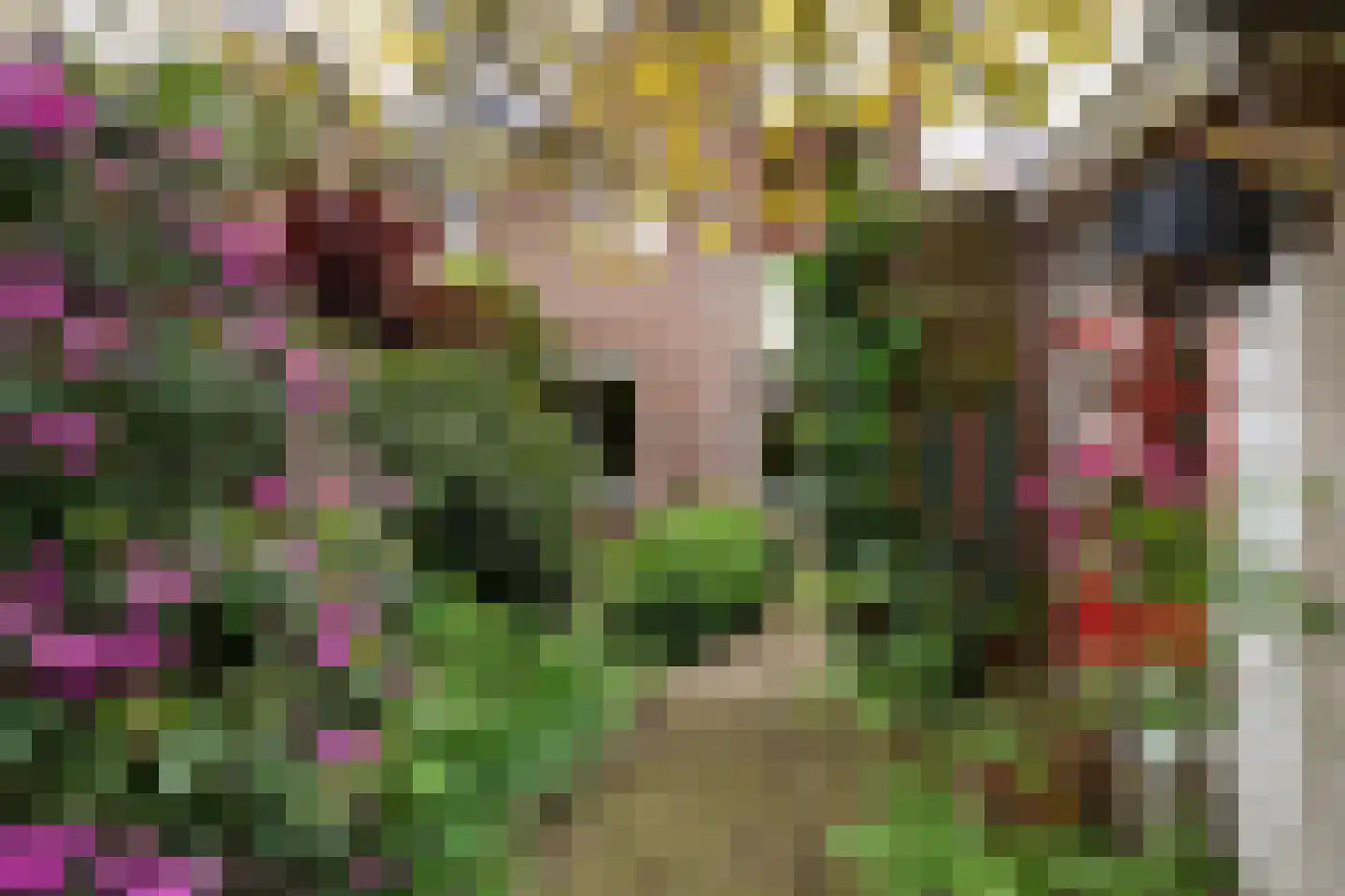 Duivelmolen 7 Oss thumbnail 6