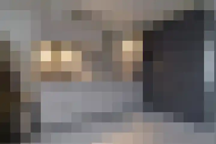 Duivelsberg 9 Veldhoven thumbnail 14