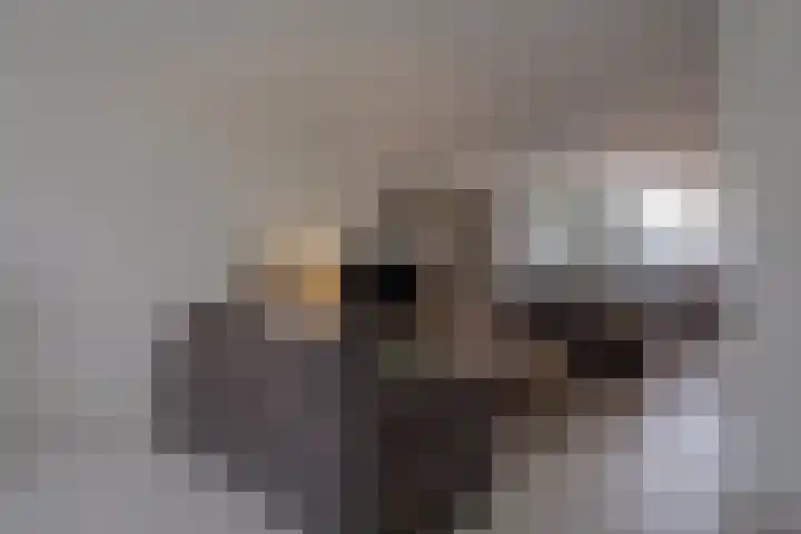 Duivelsberg 9 Veldhoven thumbnail 8