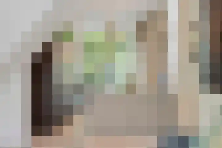 Duivelsbruglaan 20 Breda thumbnail 11
