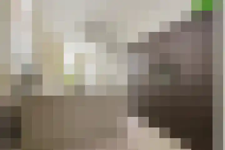 Duivelsbruglaan 20 Breda thumbnail 13