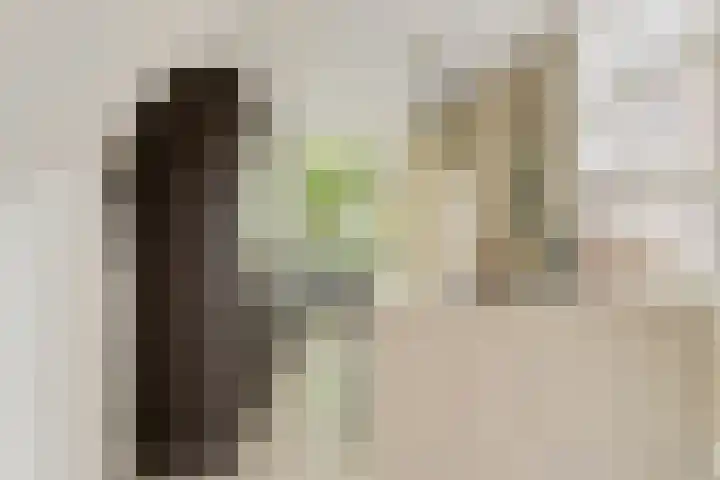 Duivelsbruglaan 20 Breda thumbnail 14