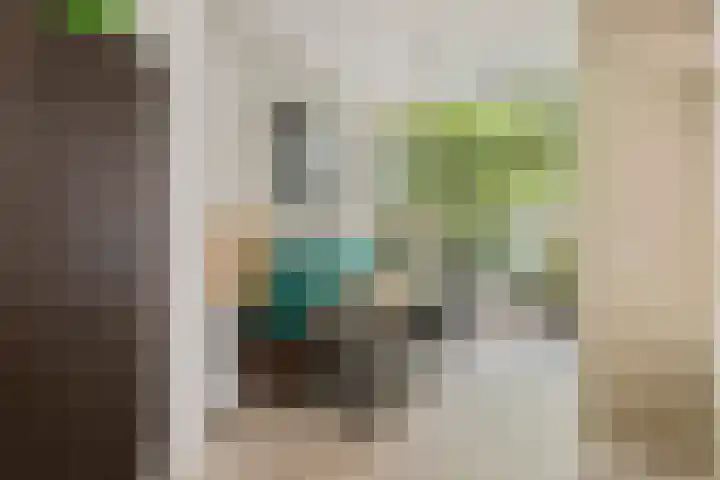 Duivelsbruglaan 20 Breda thumbnail 16
