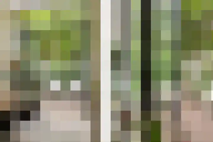 Duivelsbruglaan 20 Breda thumbnail 17