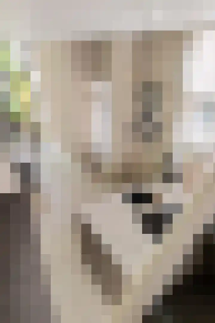 Duivelsbruglaan 20 Breda thumbnail 20