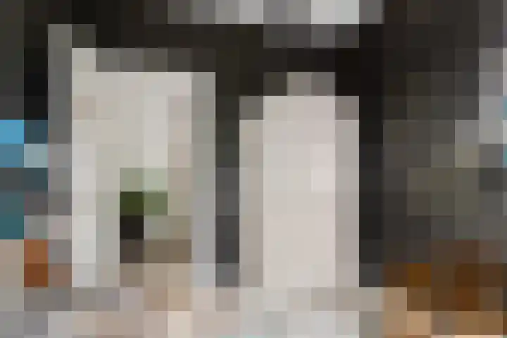 Duivelsbruglaan 20 Breda thumbnail 24