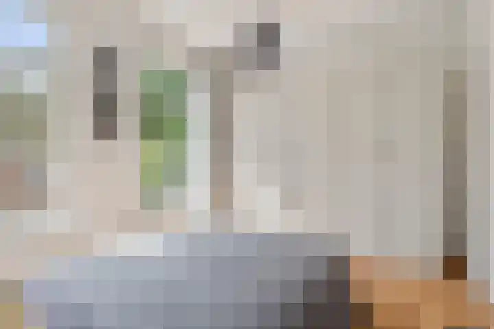 Duivelsbruglaan 20 Breda thumbnail 25
