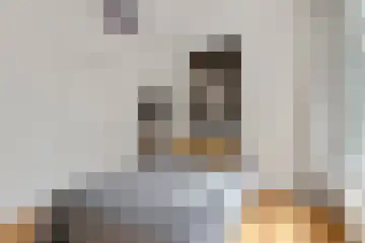 Duivelsbruglaan 20 Breda thumbnail 26