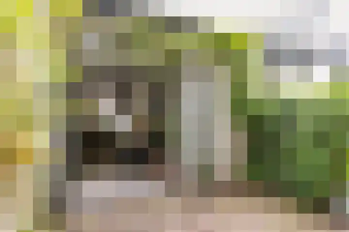 Duivelsbruglaan 20 Breda thumbnail 32