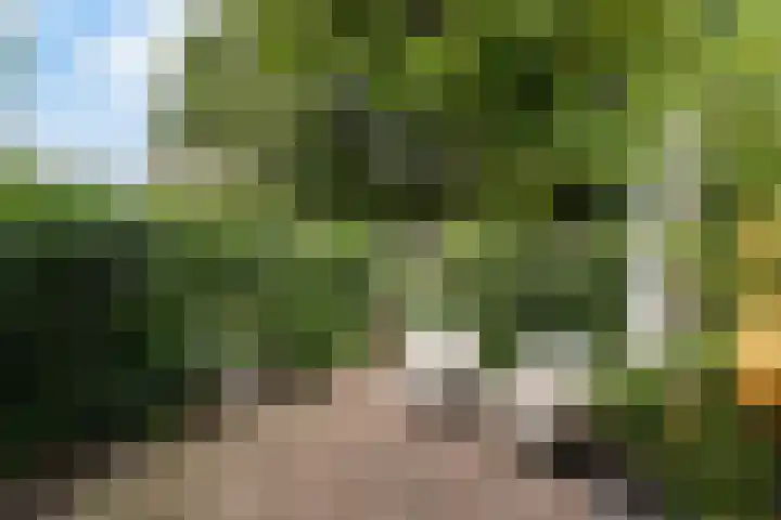 Duivelsbruglaan 20 Breda thumbnail 33