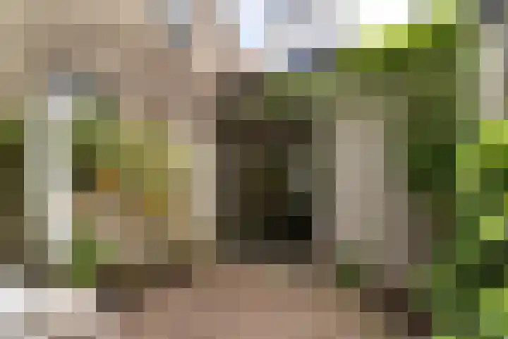 Duivelsbruglaan 20 Breda thumbnail 34
