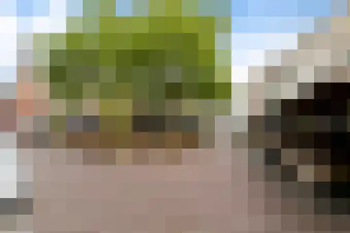 Duivelsbruglaan 20 Breda thumbnail 35