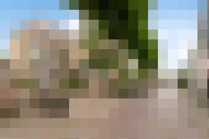 Duivelsbruglaan 20 Breda thumbnail 39