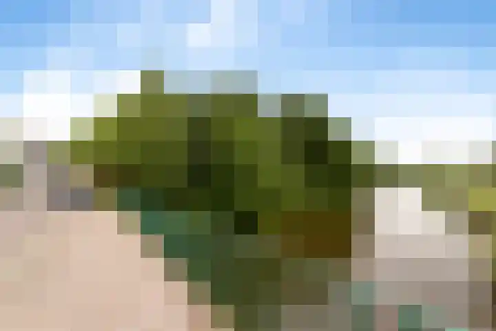 Duivelsbruglaan 20 Breda thumbnail 4