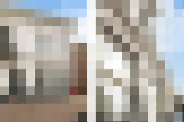 Duivelsbruglaan 20 Breda thumbnail 40